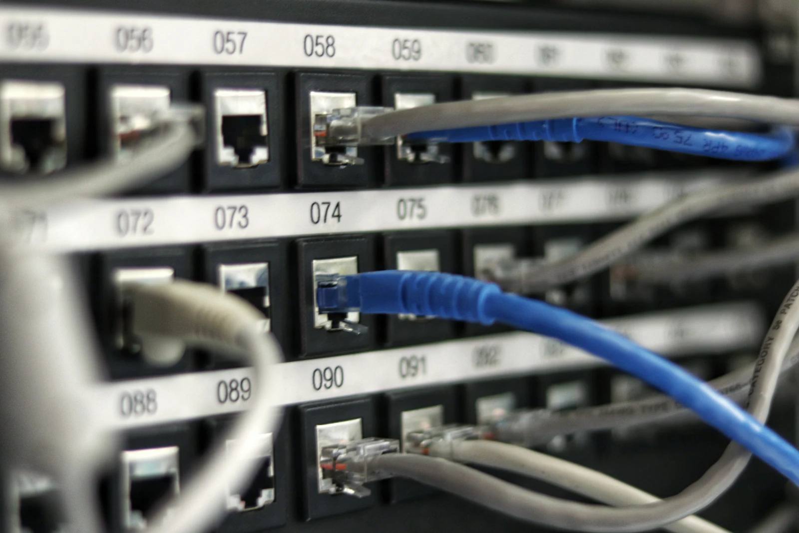 Labeled network patch panel with connected cables